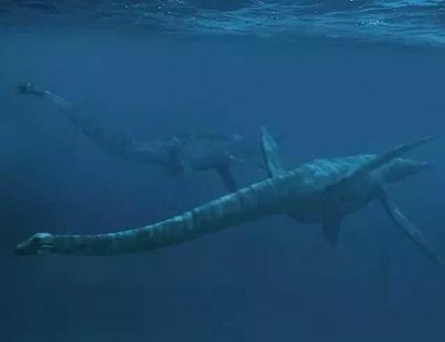 6个身份不明的"诡异生物",其中有3个在中国!
