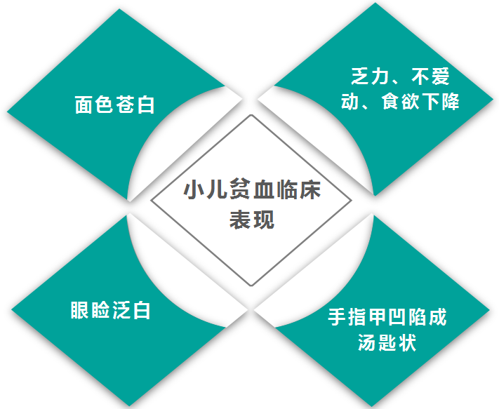 3,按形态分类 如下图所示: 一, 缺铁性贫血 是体内铁缺乏导致血红