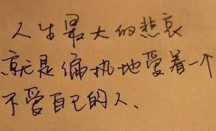 爱是怀疑简谱_爱是你我简谱(2)