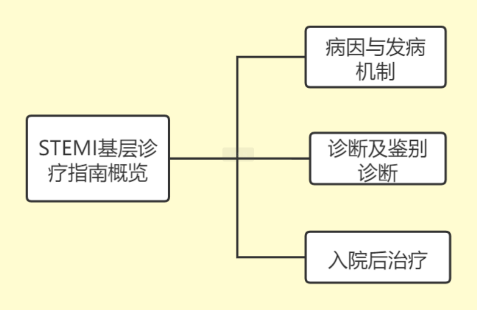 刘学波教授:st 段抬高型心肌梗死如何诊疗?|occ 2021