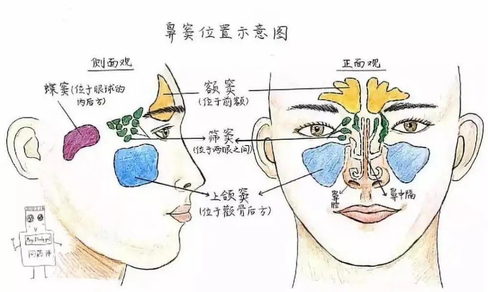 鼻窦炎,小儿推拿来帮忙(端午安康药包)