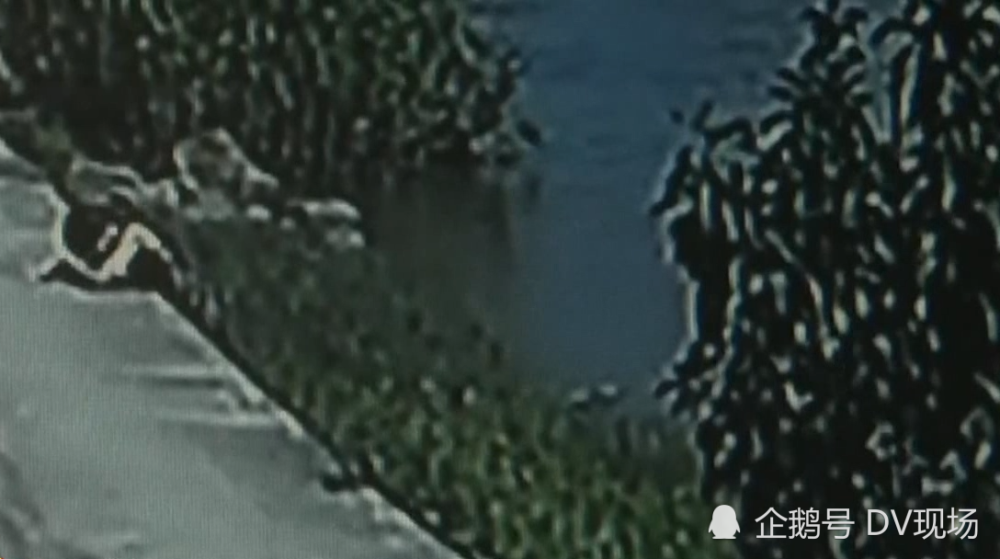 梦境的隐喻，从河中捞起的死鱼到活女人的深层解析