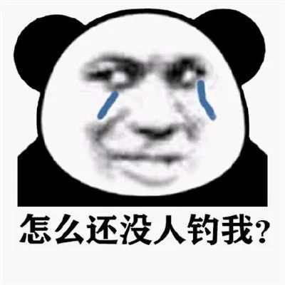 很热门的熊猫人流泪表情包
