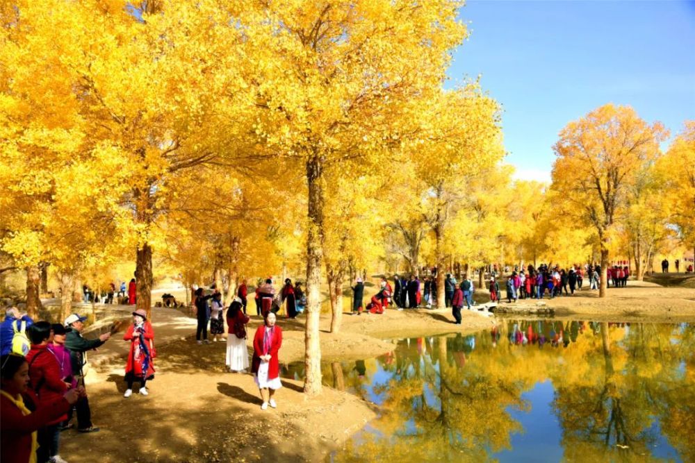 【喜迎国庆】金塔沙漠胡杨林景区祝您节日快乐!