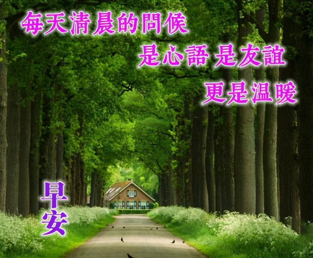 问候朋友早上好的暖心句子:朋友间暖心的早晨问候短句