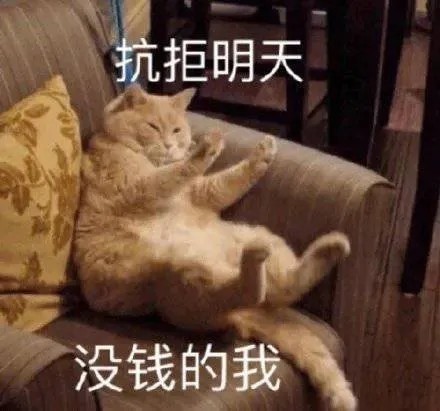 可爱猫猫表情包|你压着我jio了