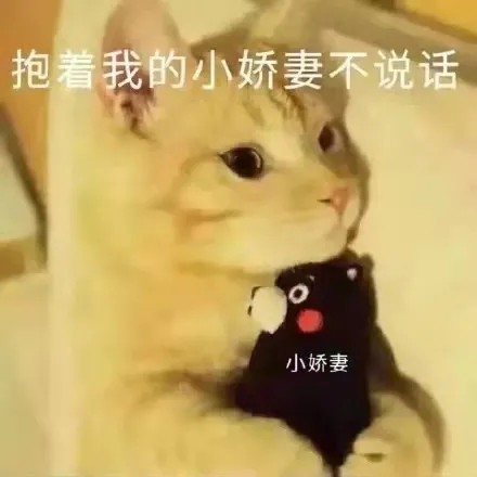 可爱猫猫表情包|你压着我jio了