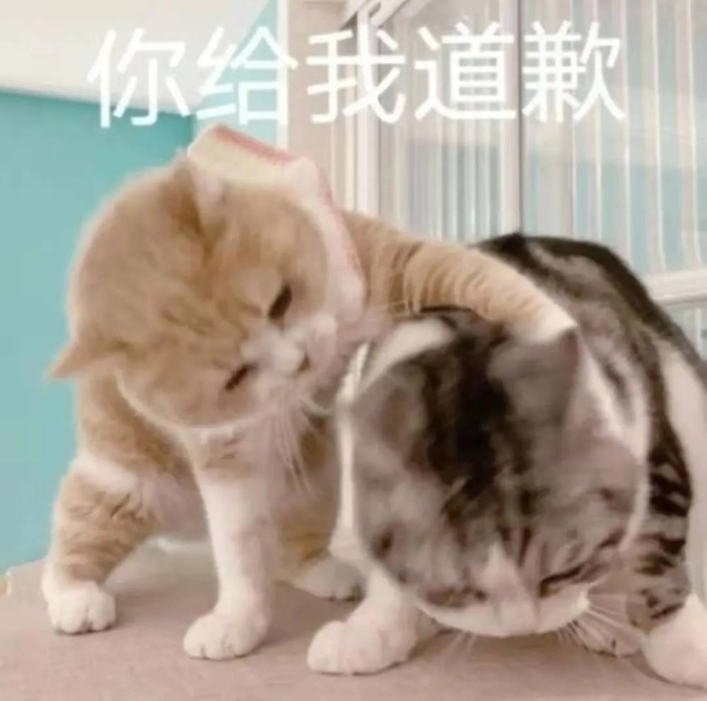 可爱猫猫表情包|你压着我jio了