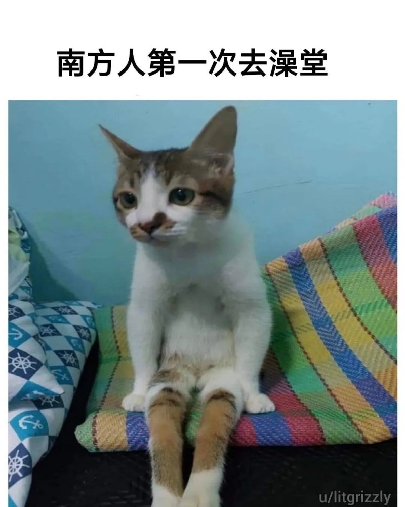 表情包:燃起来搞笑表情包