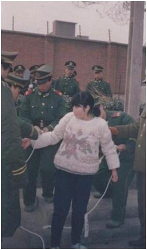 中国大案纪实十大美女死刑犯