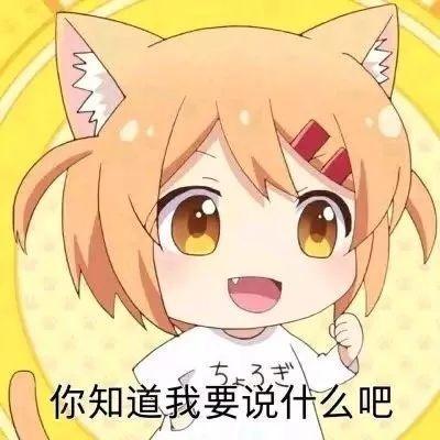 【表情包科普】猫咪日常(给我也整一个)