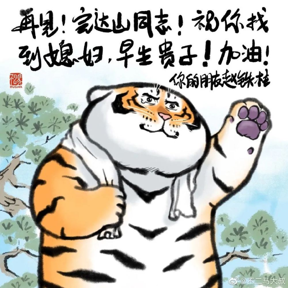 憨实胖虎"下山"后被100万网友疯狂围观,"中二"