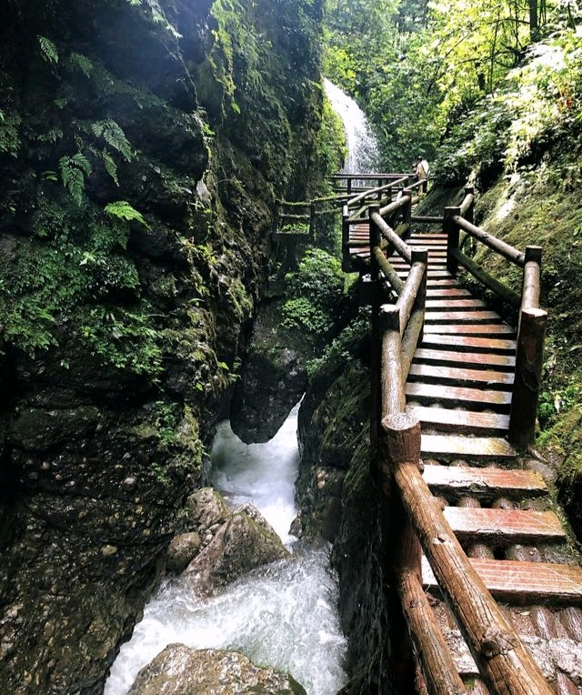 成都周边天然的"洗肺圣地,道家文化的发祥地青城山