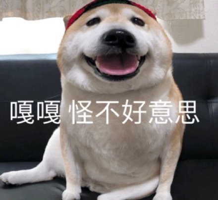 "朋友圈c位搞笑文案"