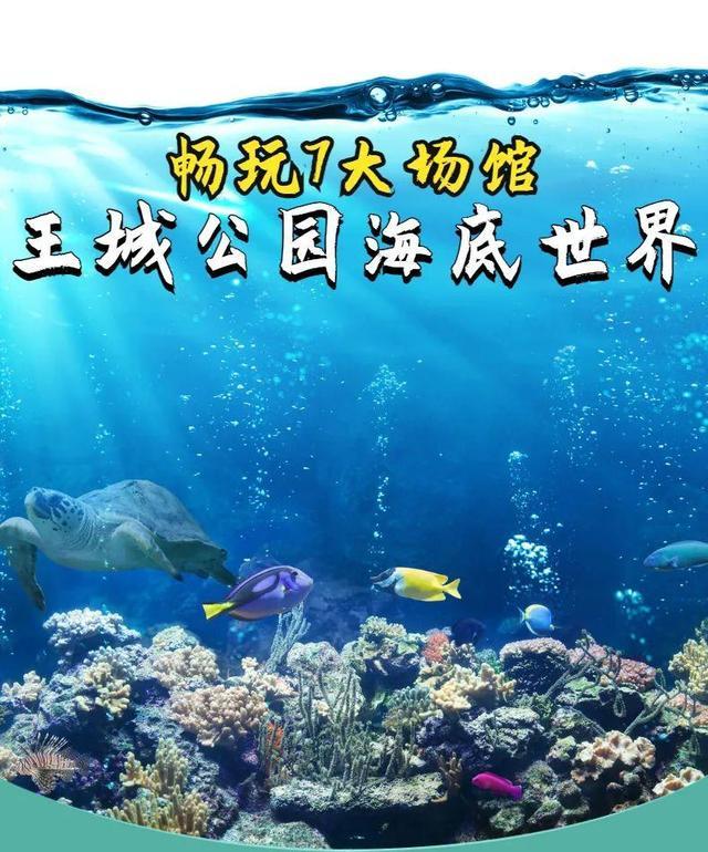洛阳王城公园海底世界,您来过吗