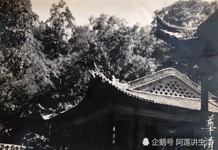 西安50年代的24张老照片