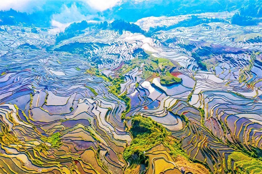 红河哈尼梯田文化景观