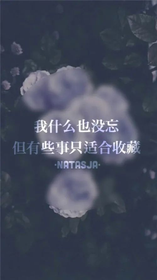 发朋友圈会被秒赞的句子,简单干净,直抵心灵!