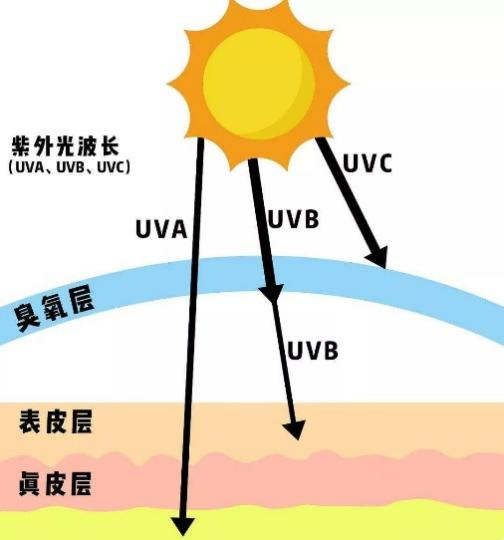 波长不同,紫外线种类不同,它对人体皮肤的伤害也不同