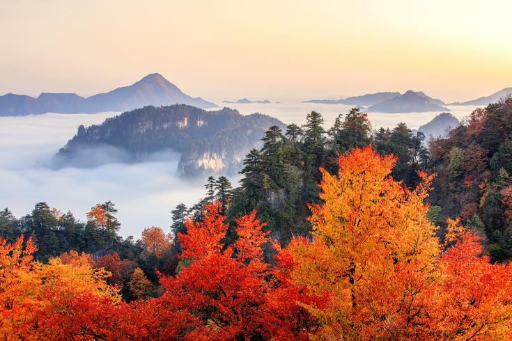 光雾山景区,米仓山景区,诺水河景区入选"中华秦岭100景"