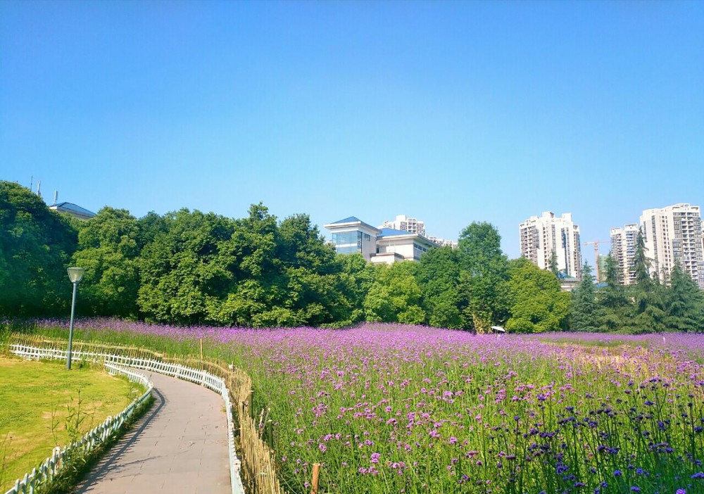 7,三板溪公园