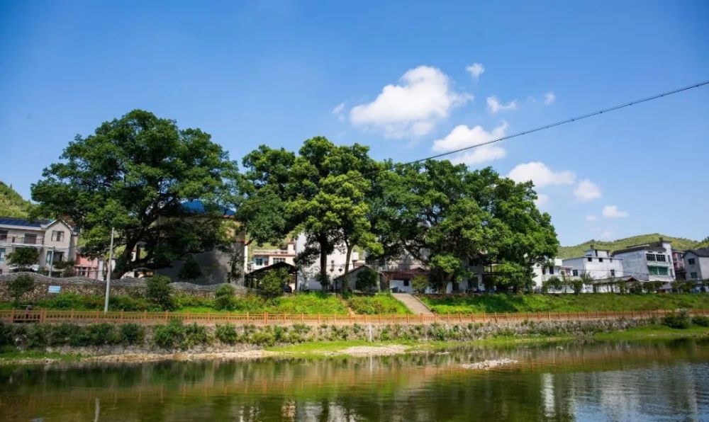 芳村镇上猷阁村 芳村镇大处村 大桥头乡浮河村 紫港街道狮东村 紫港