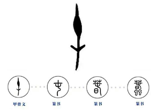 破译一个甲骨文奖10万,复旦学者破译出蠢字,字形简单的没法相信