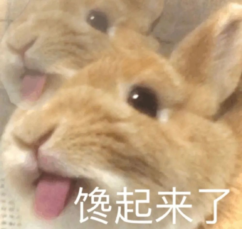 沙雕表情包:我只会心疼giegie