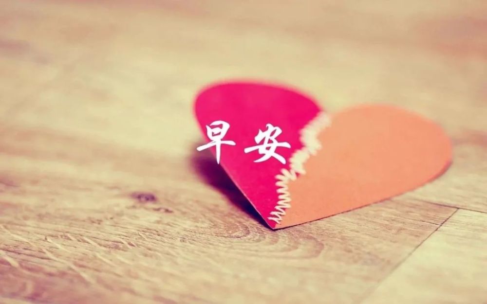 很暖心的早上好问候语祝福短信,漂亮的早安鲜花图片带