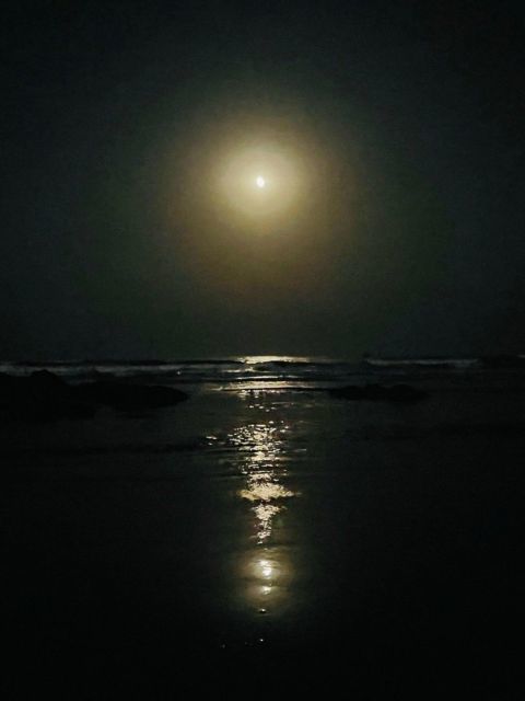 也不知道是不是因为这图是战哥拍的,总觉得这夜色格外美丽,这月亮看着