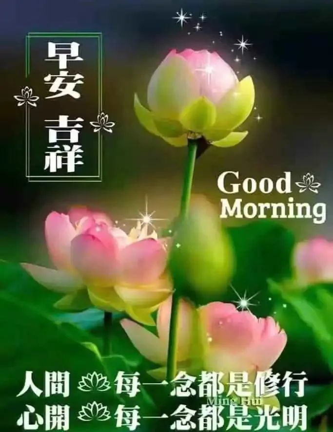 大家早上好色彩鲜艳有创意的早安图片清晨好的问候图片