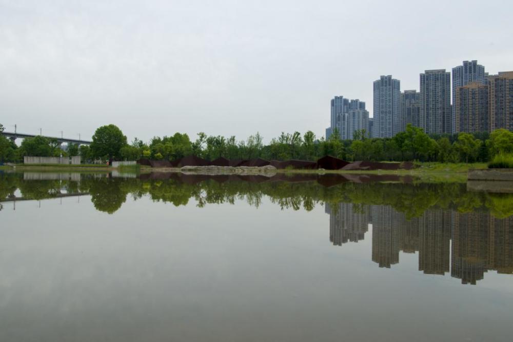 武汉戴家湖公园的华丽蝶变:粉煤灰堆场变生态绿地