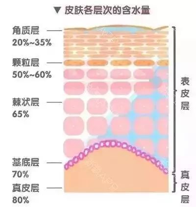 皮肤管理如何有效做好基础护理?