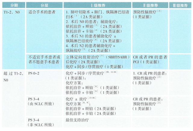 csco小细胞肺癌指南多处更新,免疫治疗现曙光—抗癌管家