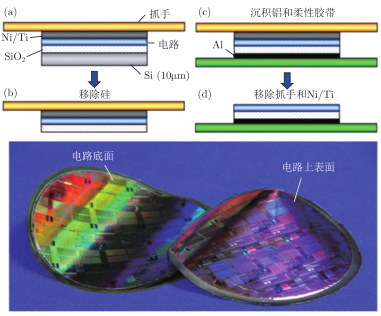 柔性微控制器 3 基于有机材料的柔性器件