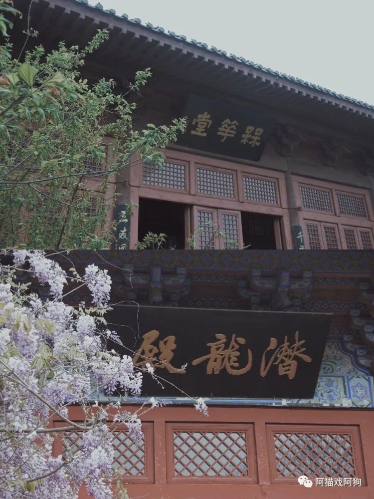 潜龙宫:里面供奉了宋太宗,宋钦宗,宋真宗三位皇帝.