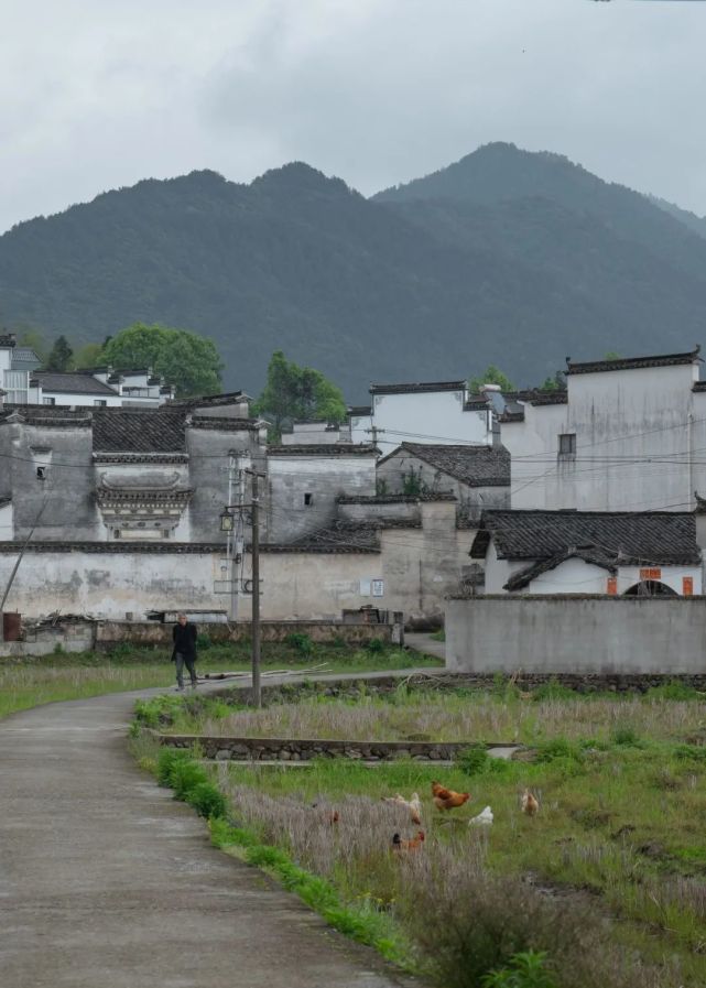 碧山:守望乡土,自在耕读,从田间地头走出"文艺乡建"之路