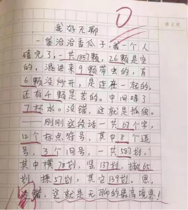 小学生满分作文村里学霸老师评语全村的希望太有才了