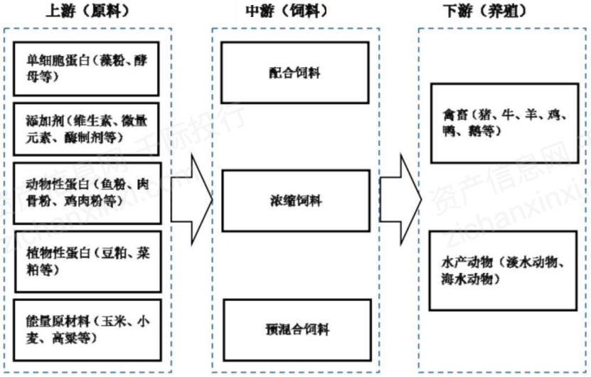 养殖产业链概况