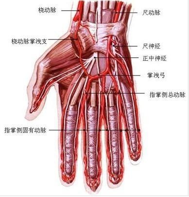 自治区首例经远端桡动脉路径行冠状动脉介入诊疗