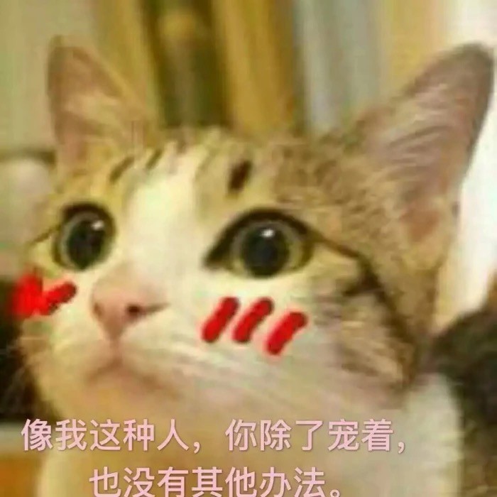 表情包野啊宝贝