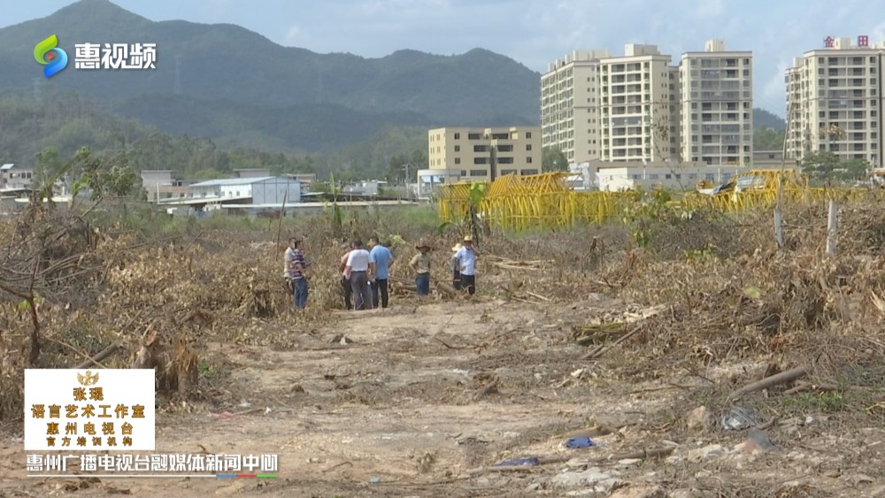 博罗县罗阳街道gdp_重磅 龙溪镇 撤镇设街道 获批了 这次真要起飞了(2)