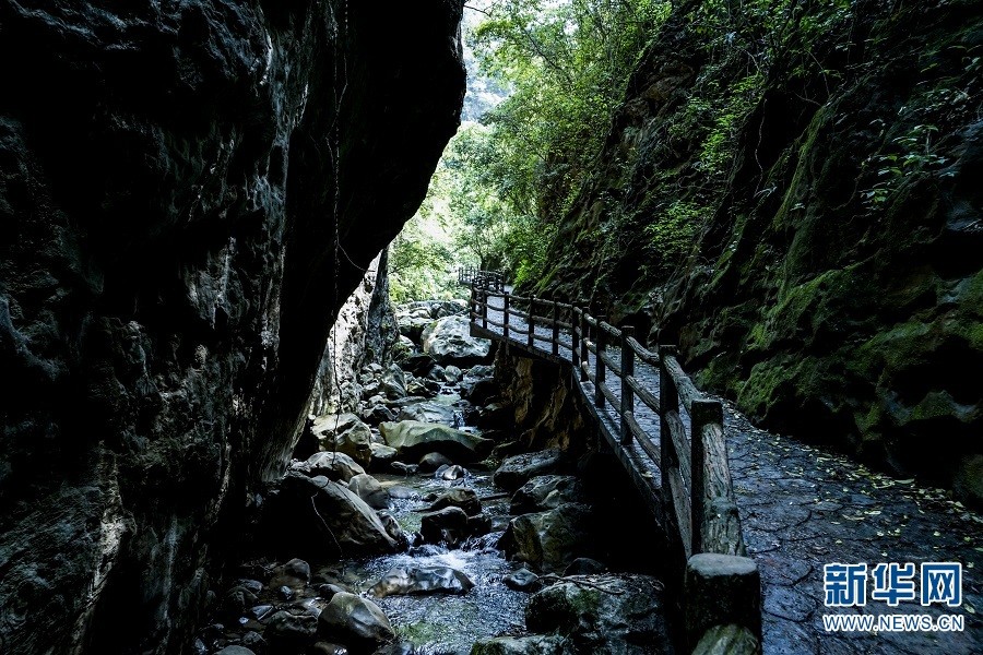 尼珠河大峡谷景区(5月21日 摄).新华网发(刘荣 摄)