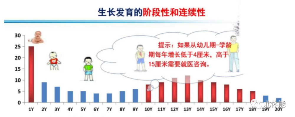 儿童期少年期青春期孩子身高长高的秘密第四部分重要