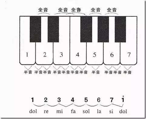 音乐课堂(13)自然全音,自然半音,变化全音,变化半音