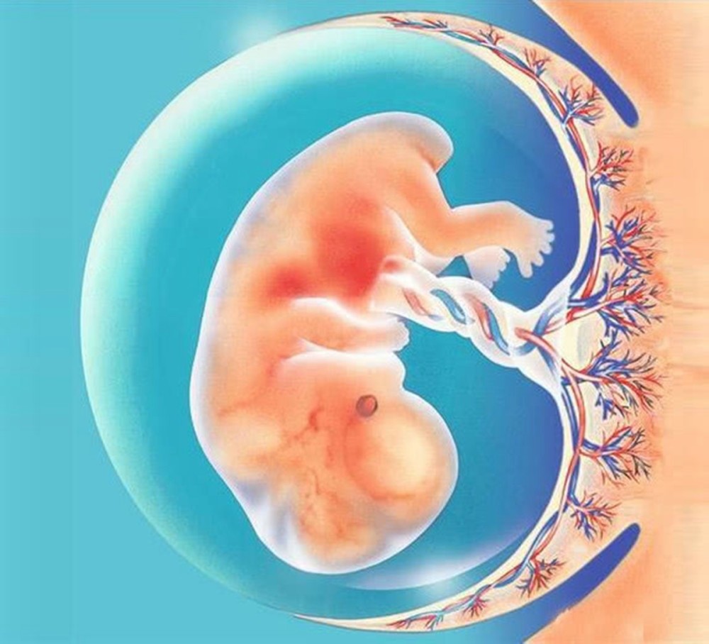 怀孕后,什么时候能够检测出来胎儿发育不良?孕妈知道越早越好