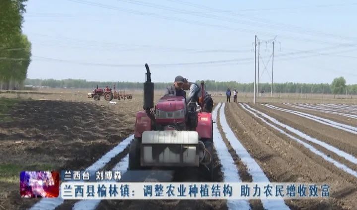 新闻联播▏兰西县榆林镇:调整农业种植结构 助力农民增收致富