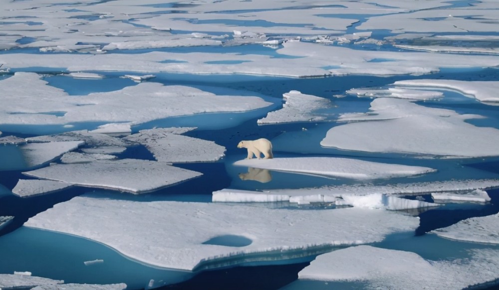 nasa:全球变暖导致南极冰川融化速度加快,霍金预言或将应验