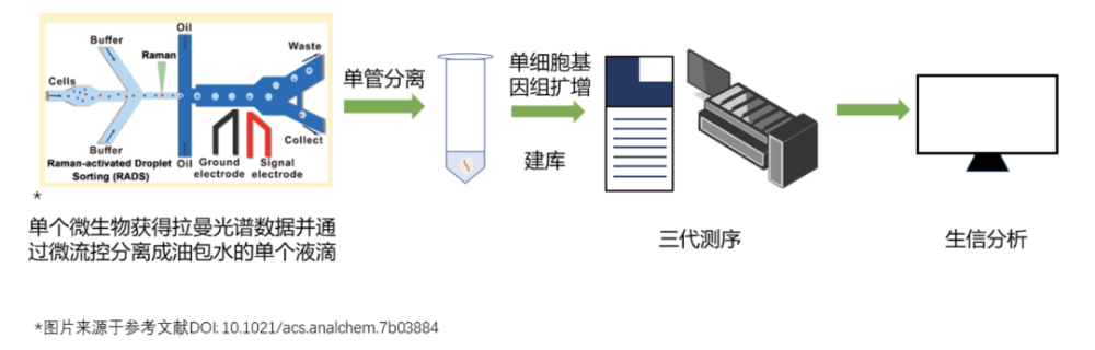 拉曼组遇到三代测序希望组与青岛星赛达成战略合作共同推出微生物单