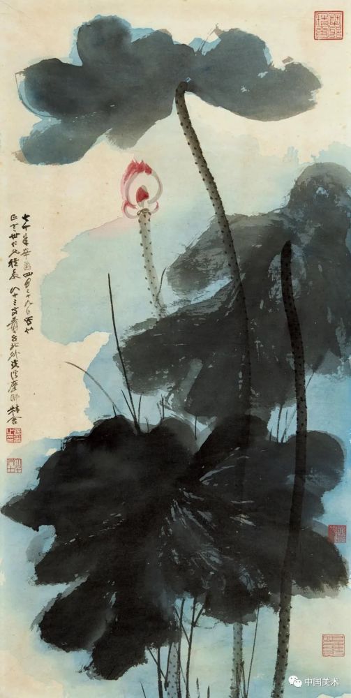 张大千花鸟画(50幅)